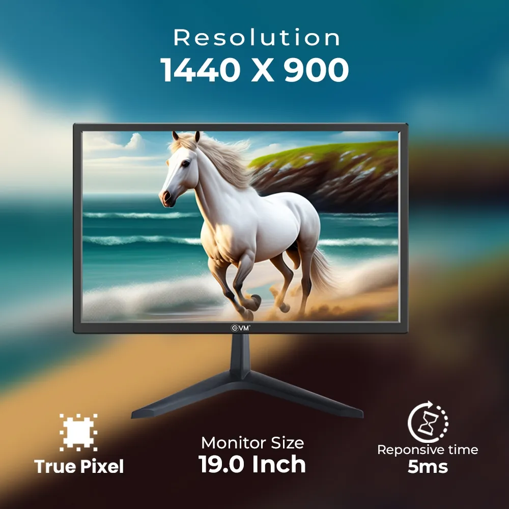 EVM LED Monitor 20" HD with HDMI | VGA (Grand 195) view 4